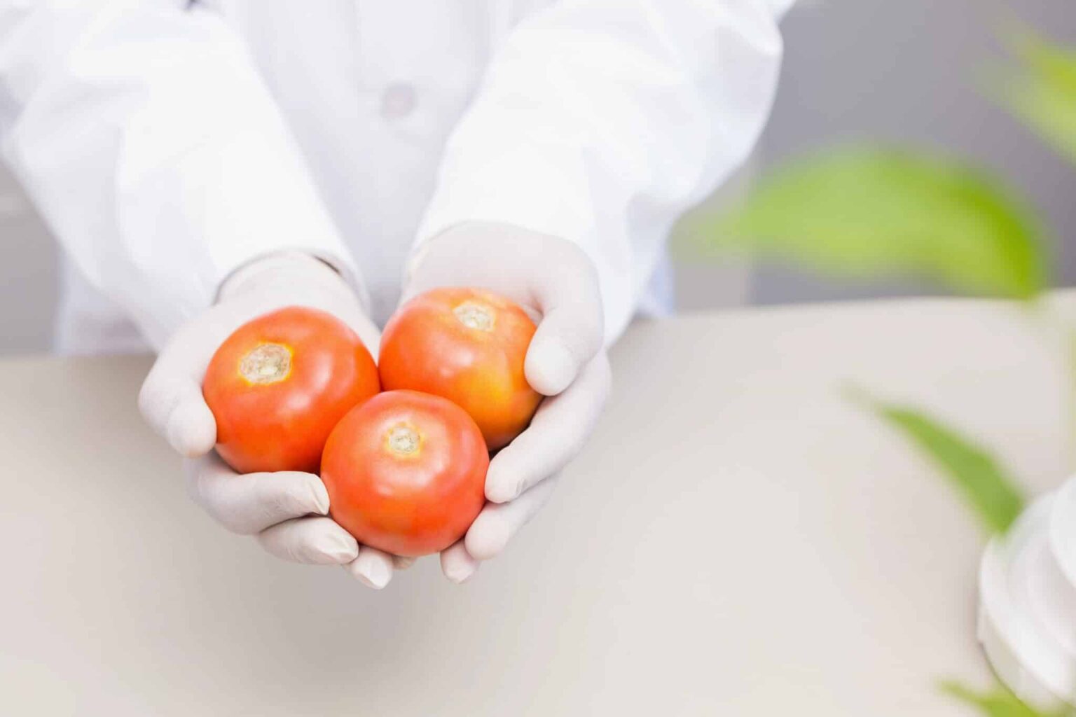 How Viruses Like Hepatitis A and Norovirus Are Changing the Global Food Safety Landscape