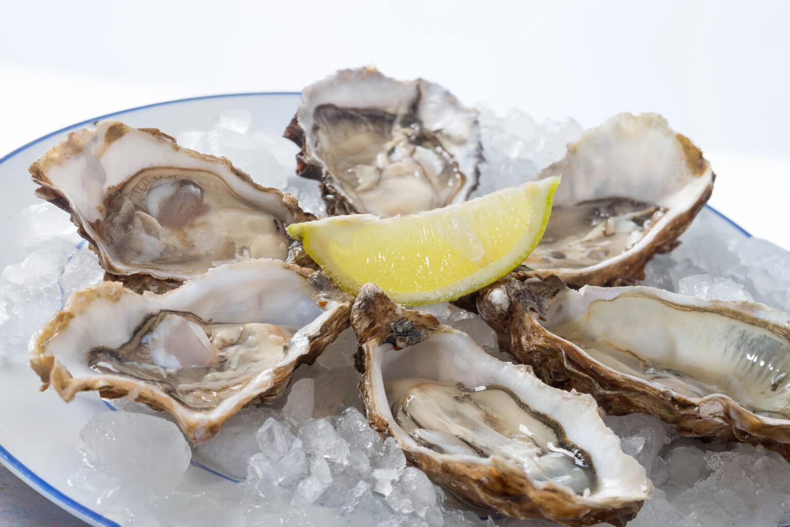 Increased Vibrio Outbreaks Due to Global Warming