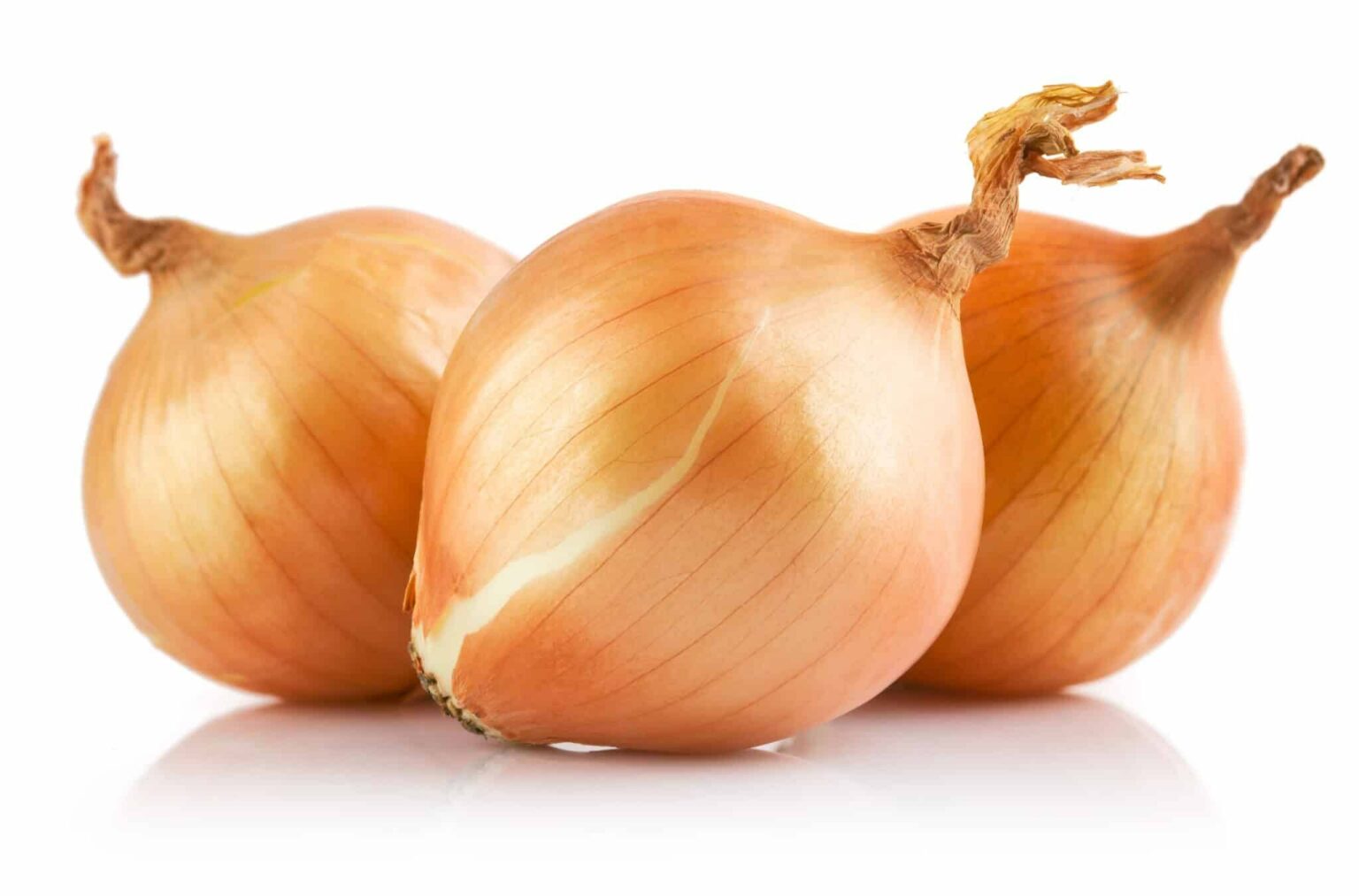 The Onion Salmonella Outbreaks of 2020 and 2021: Lessons Learned The Onion Salmonella Outbreaks of 2020 and 2021: Lessons Learned