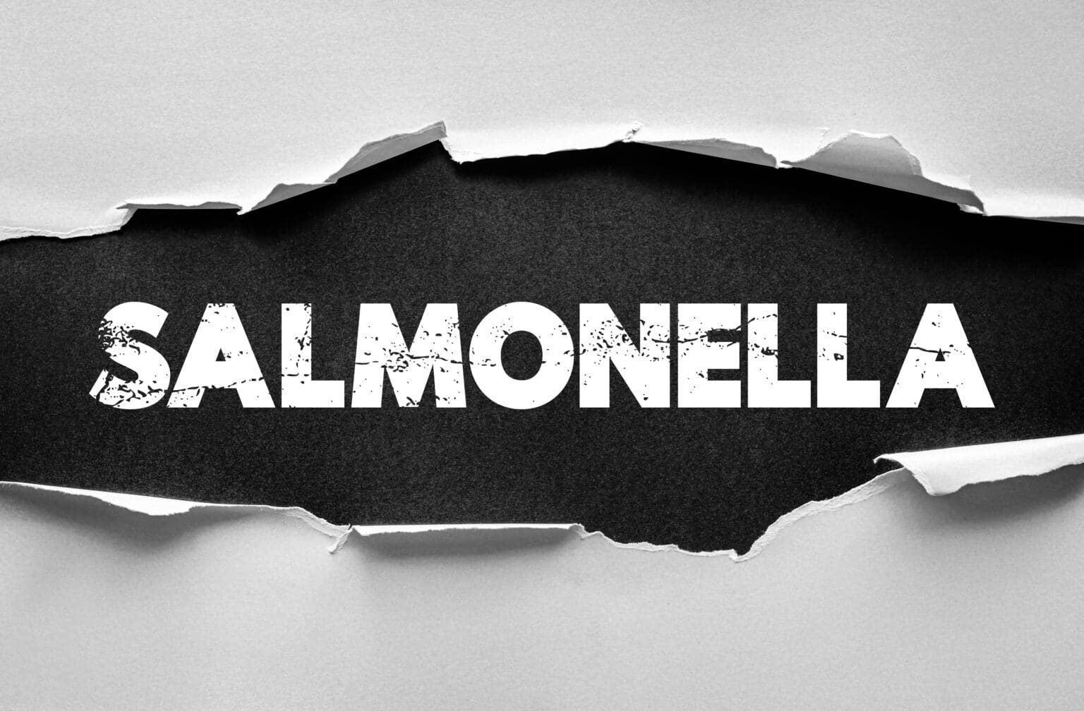 The Role of Local Health Agencies in Foodborne Outbreak Investigations