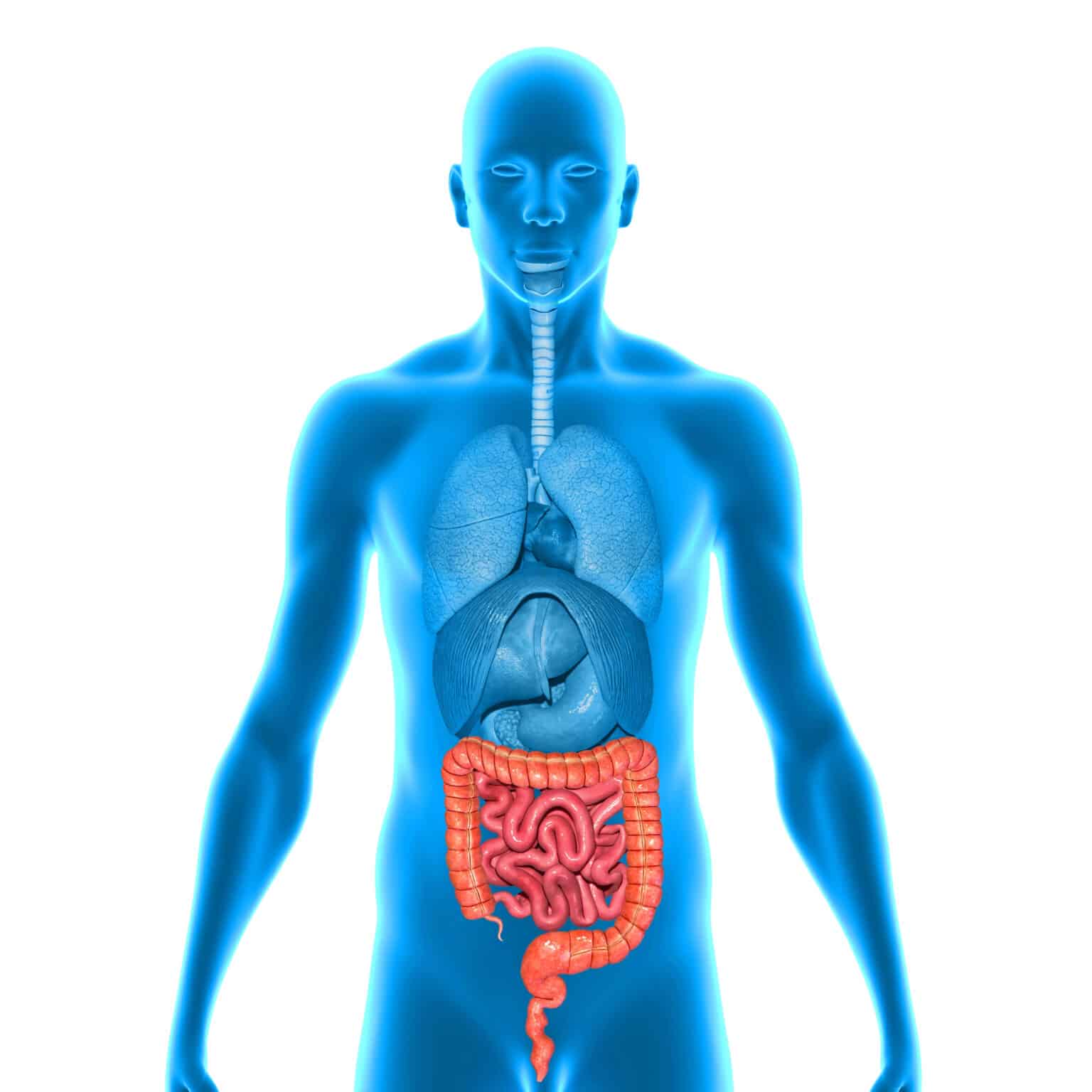 Post-Infectious Irritable Bowel Syndrome (PI-IBS): Prevalence, Timing, and Risk Factors Post-Infectious Irritable Bowel Syndrome (PI-IBS): Prevalence, Timing, and Risk Factors