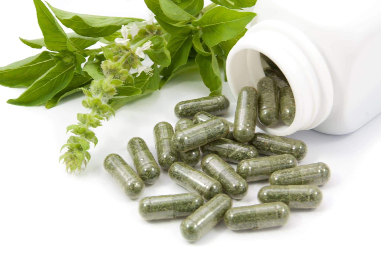Salmonella Outbreak Tied to Moringa Leaf Supplements