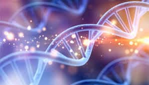 The Impact of Whole Genome Sequencing on Foodborne Outbreak Investigations and Food Safety Policy The Impact of Whole Genome Sequencing on Foodborne Outbreak Investigations and Food Safety Policy