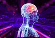 When Salmonella Meets the Brain: The Overlooked Connection Between Food Poisoning and Epilepsy When Salmonella Meets the Brain: The Overlooked Connection Between Food Poisoning and Epilepsy