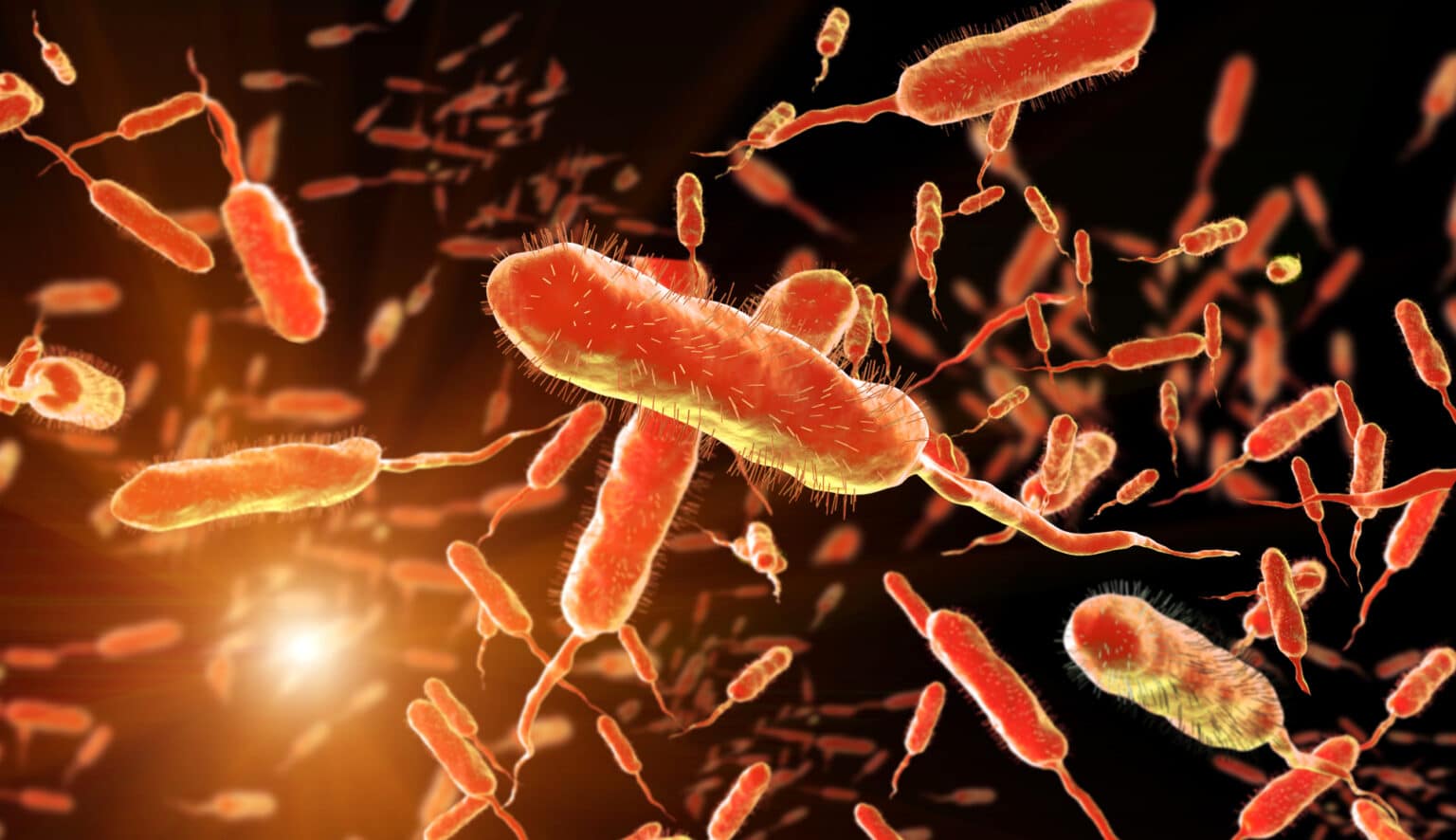 The Hidden Danger in Summer Beach Waters: What You Need to Know About Vibrio Infections The Hidden Danger in Summer Beach Waters: What You Need to Know About Vibrio Infections
