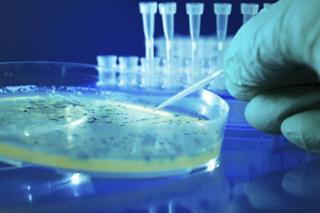 Beyond the Recall: How Science Is Transforming Foodborne Outbreak Investigations Beyond the Recall: How Science Is Transforming Foodborne Outbreak Investigations