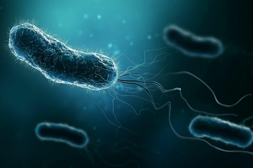 Massive Salmonella Outbreak in New York State; Over 60 Taken Ill Massive Salmonella Outbreak in New York State; Over 60 Taken Ill