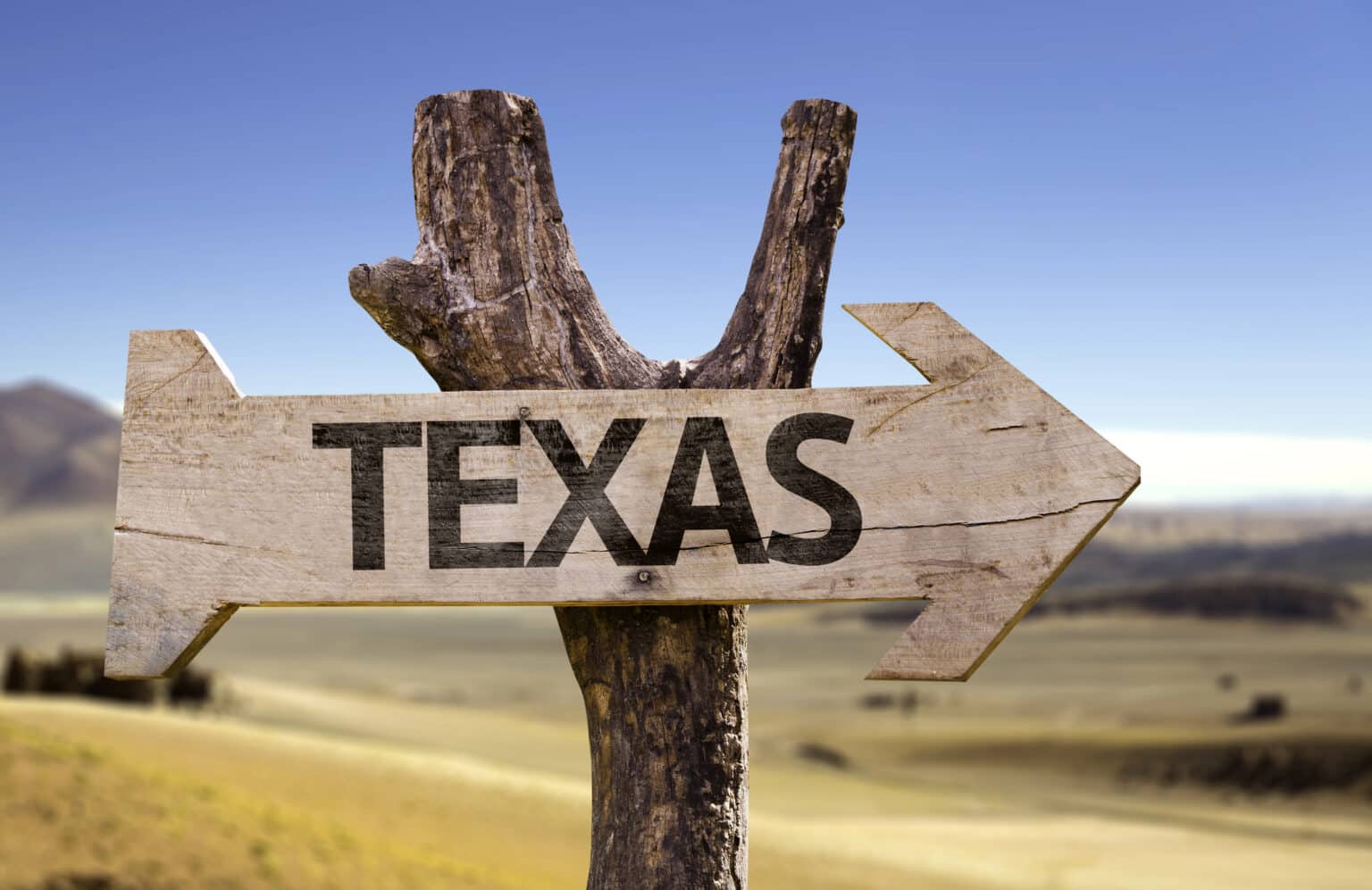 Cyclospora in Texas: Cases Climb as a Record National Outbreak Spreads Beyond the Midwest Cyclospora in Texas: Cases Climb as a Record National Outbreak Spreads Beyond the Midwest