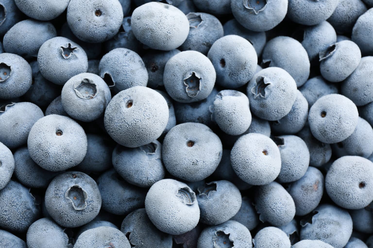Frozen Berries and Foodborne Illness: A Recent Case in Which Blueberries in Publix Retailers Were Found to Be Contaminated with E. coli